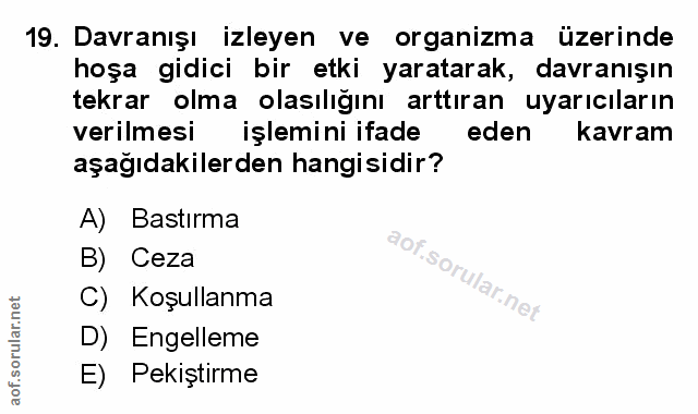 Soru 19