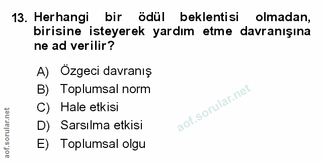 Soru 13