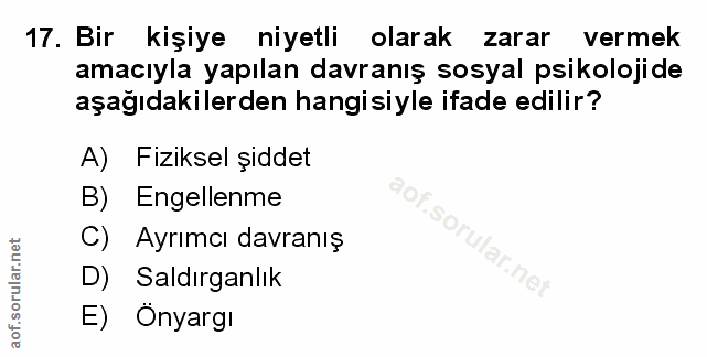 Soru 17