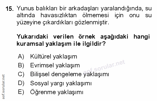 Soru 15