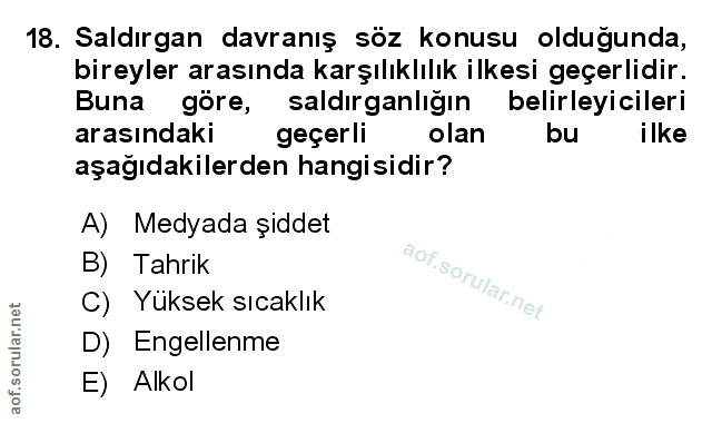 Soru 18