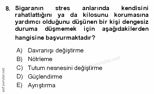 Soru 8