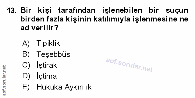 Soru 13