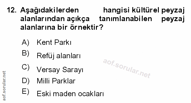 Soru 12