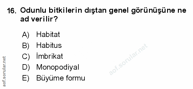 Soru 16