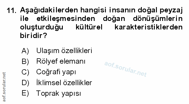 Soru 11
