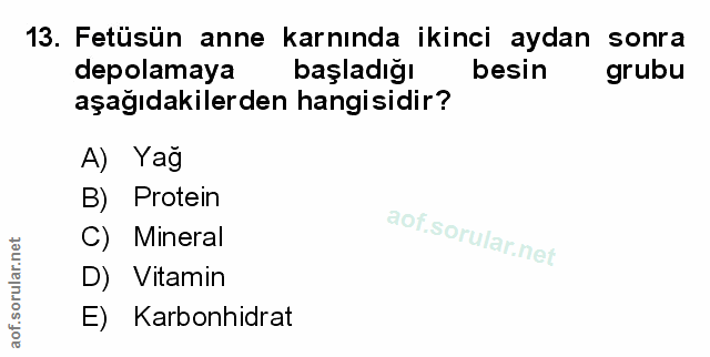 Soru 13