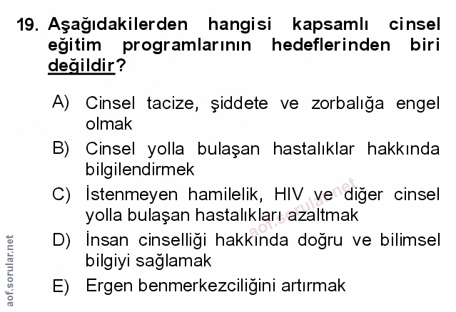 Soru 19
