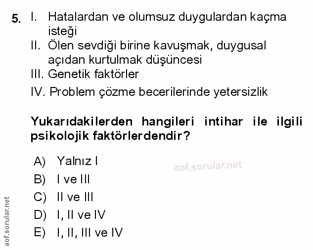 Soru 5