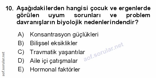 Soru 10