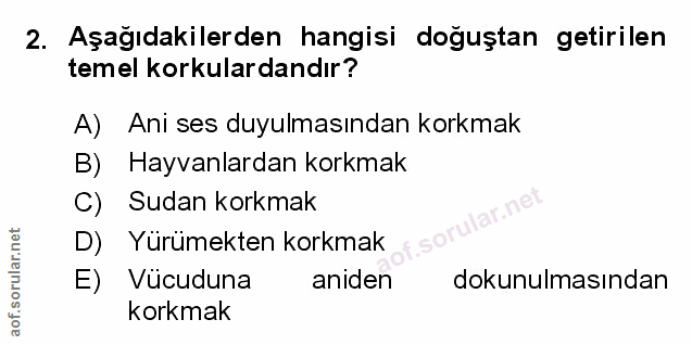 Soru 2