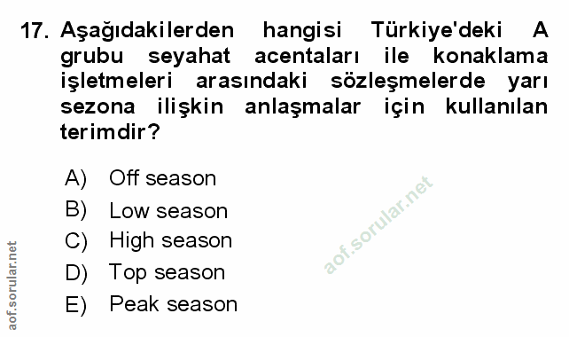 Soru 17