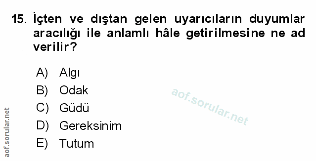Soru 15