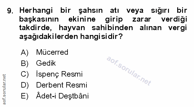 Soru 9