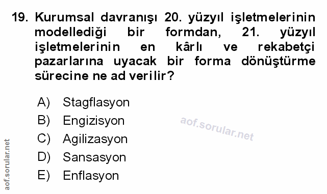 Soru 19