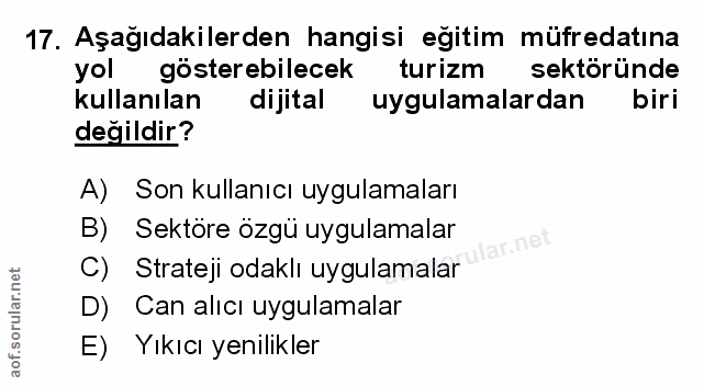 Soru 17