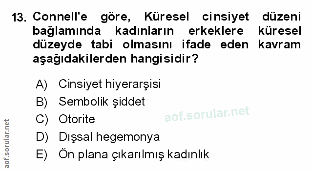 Soru 13