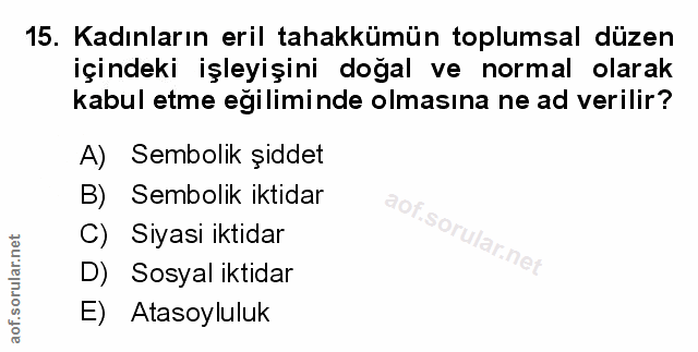 Soru 15