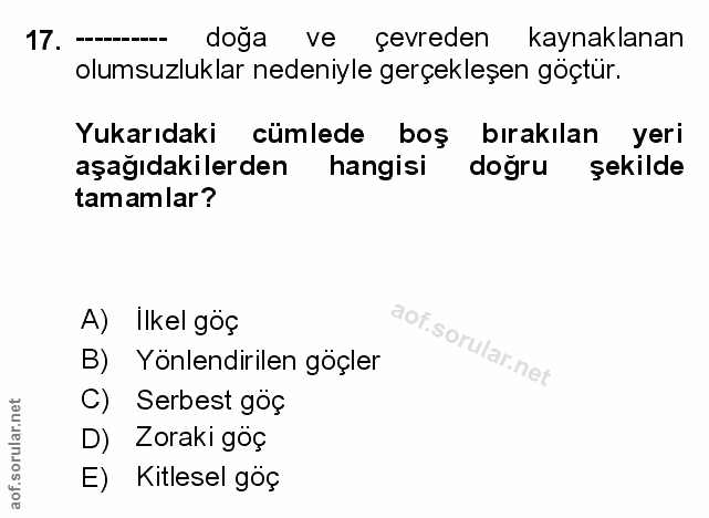 Soru 17