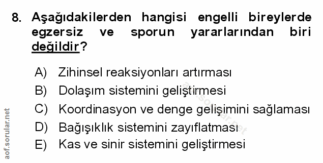 Soru 8