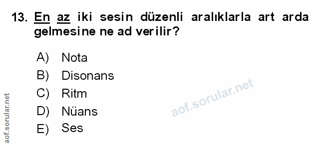 Soru 13