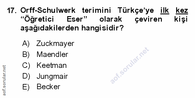 Soru 17