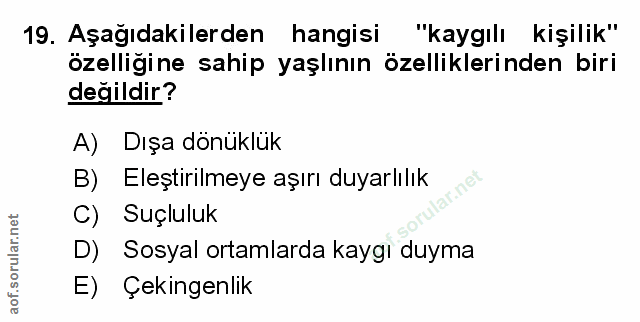 Soru 19