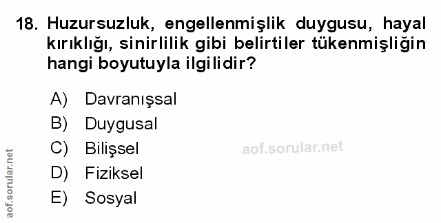 Soru 18