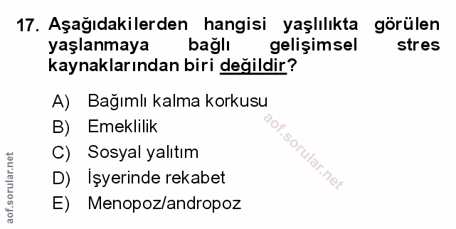 Soru 17