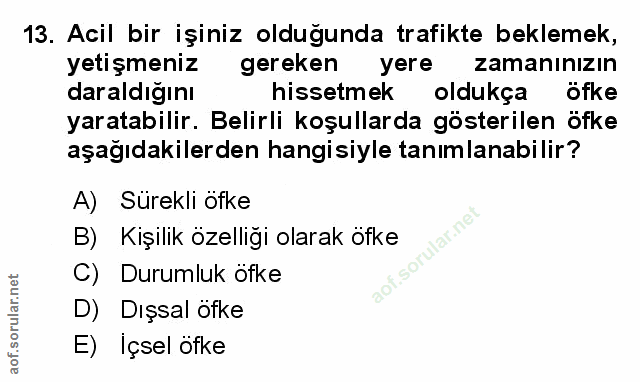 Soru 13