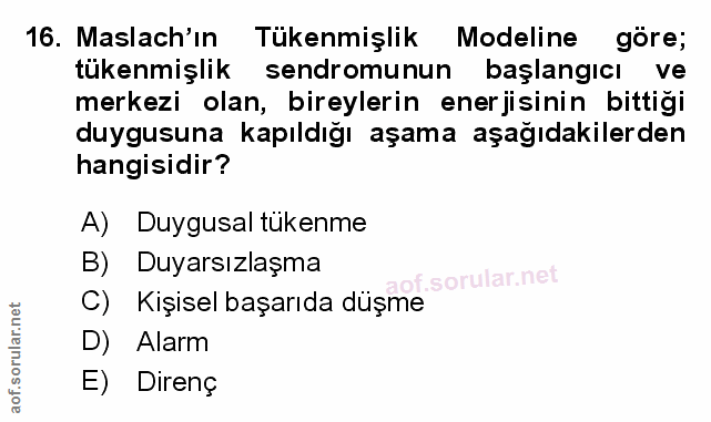 Soru 16