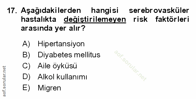 Soru 17