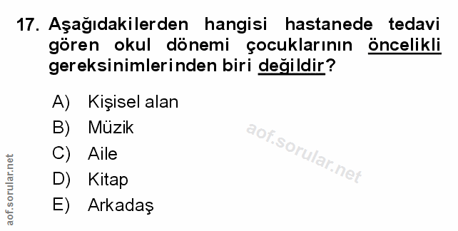 Soru 17