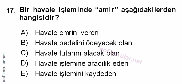 Soru 17