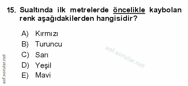 Soru 15
