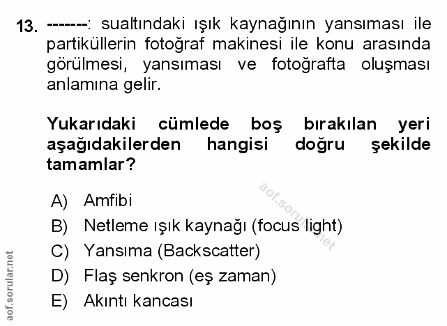 Soru 13