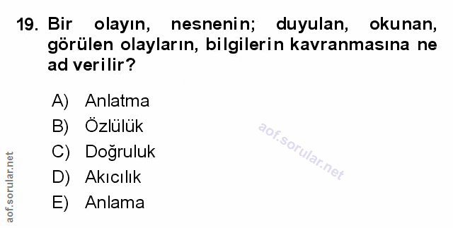 Soru 19