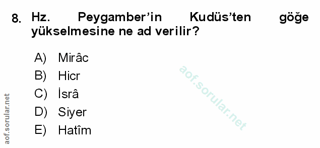 Soru 8