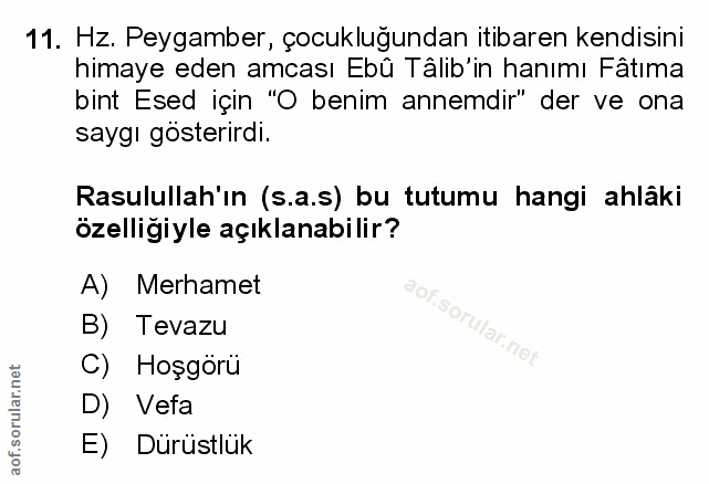 Soru 11