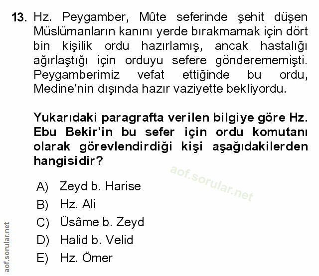 Soru 13