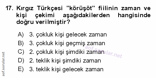 Soru 17