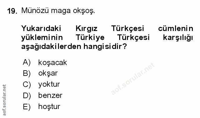 Soru 19