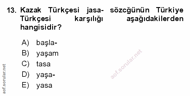 Soru 13