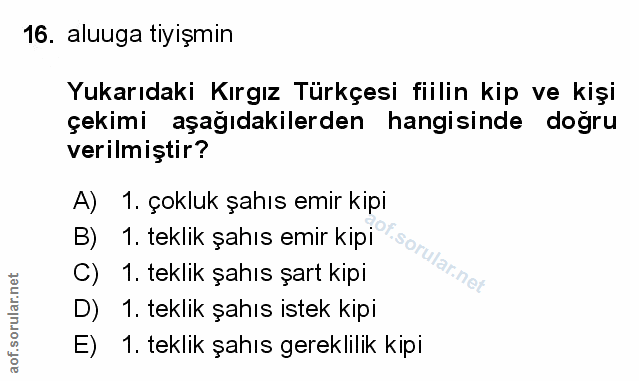 Soru 16