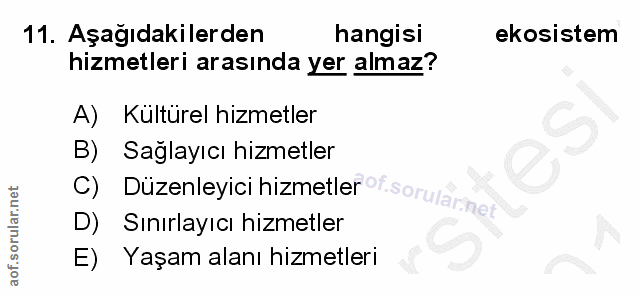 Soru 11