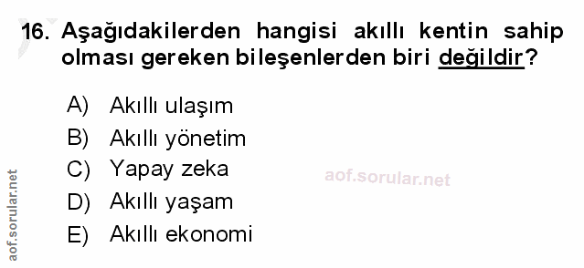 Soru 16