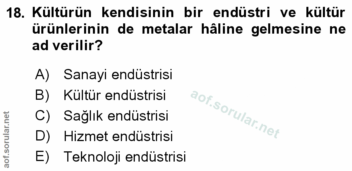 Soru 18