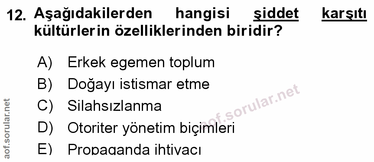 Soru 12
