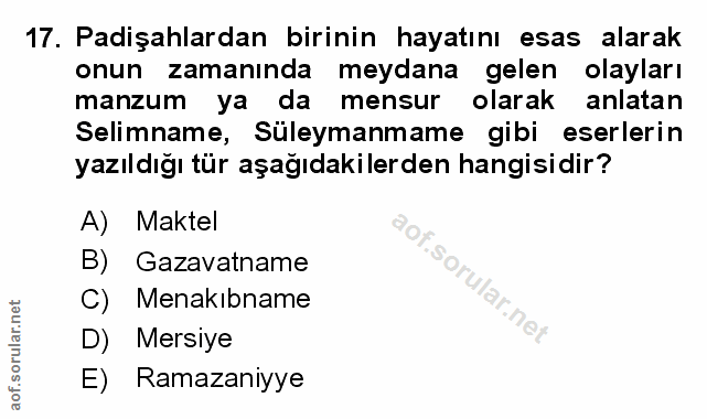 Soru 17