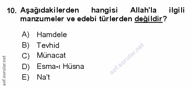 Soru 10